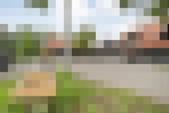 Engelsmanplaat 112 Zwolle thumbnail 29