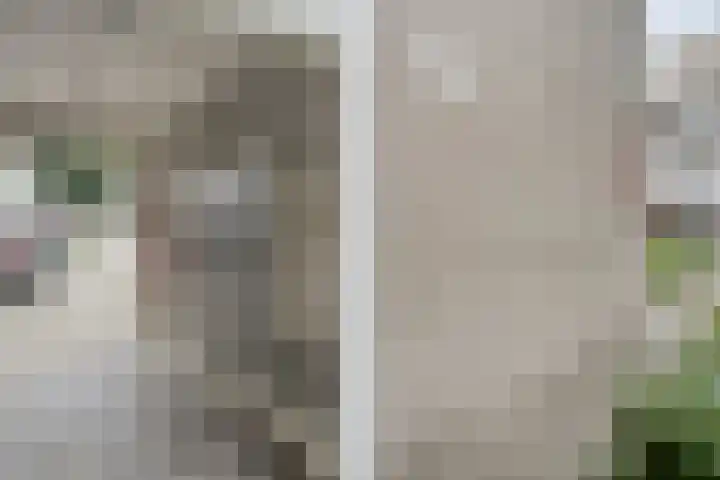 Engelsmanplaat 112 Zwolle thumbnail 7
