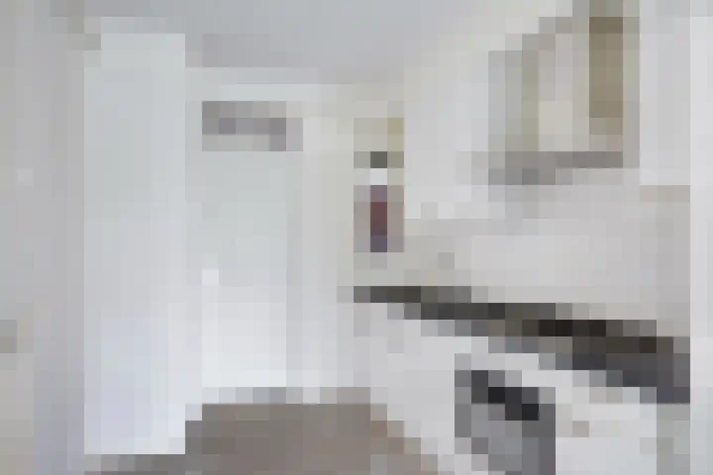 Engelsmanplaat 12 Zwolle thumbnail 7