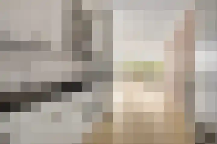 Engelsmanplaat 20 Zwolle thumbnail 10
