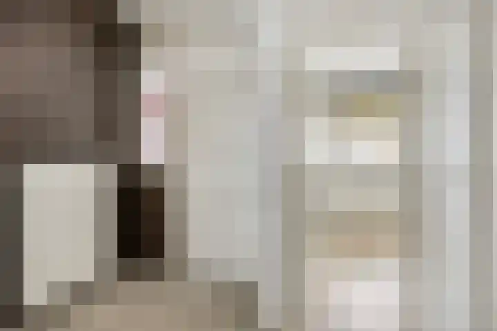 Engelsmanplaat 20 Zwolle thumbnail 18