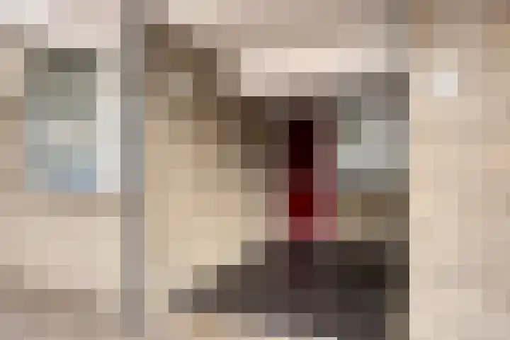 Engelsmanplaat 20 Zwolle thumbnail 25