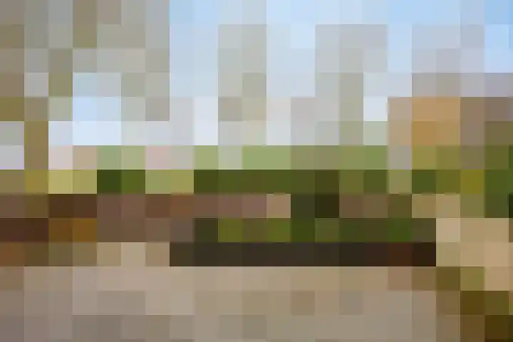 Engelsmanplaat 20 Zwolle thumbnail 6