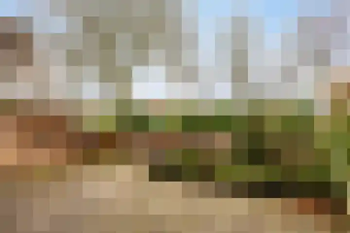 Engelsmanplaat 20 Zwolle thumbnail 7