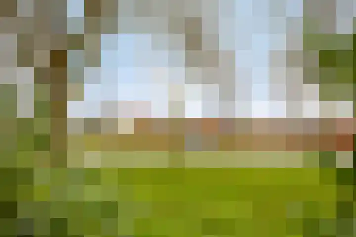 Engelsmanplaat 20 Zwolle thumbnail 9