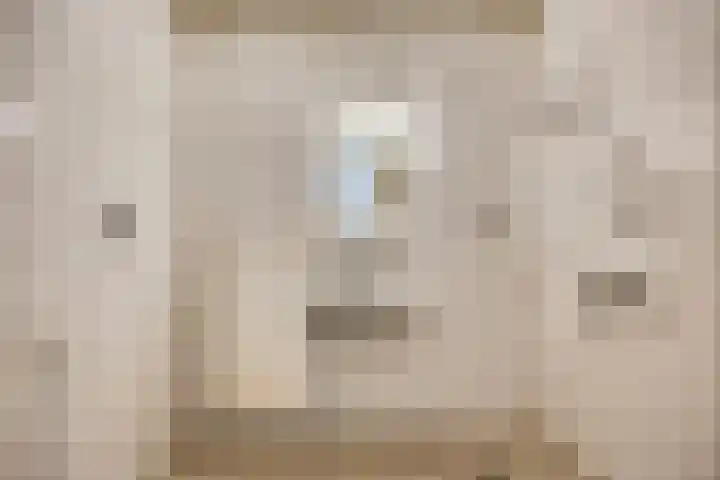 Engelsmanplaat 21 Zwolle thumbnail 15