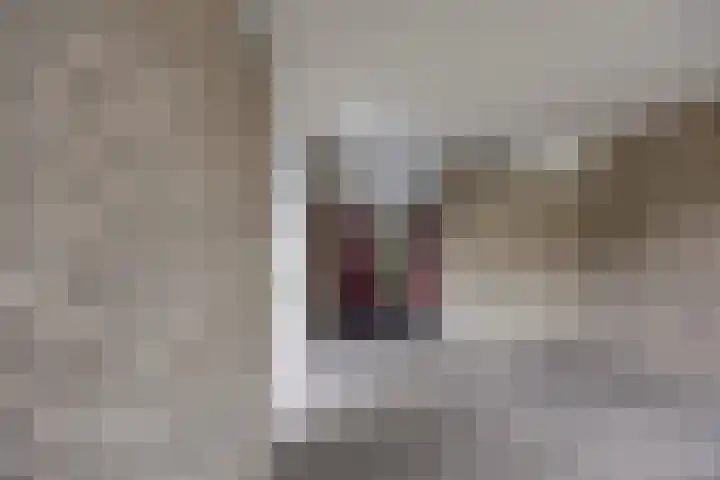 Engelsmanplaat 21 Zwolle thumbnail 18