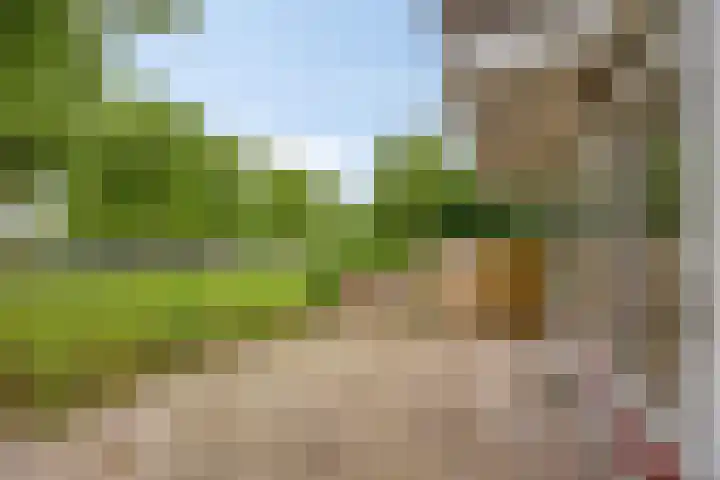 Engelsmanplaat 21 Zwolle thumbnail 4