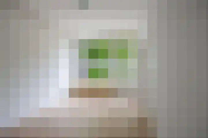 Engelsmanplaat 21 Zwolle thumbnail 6