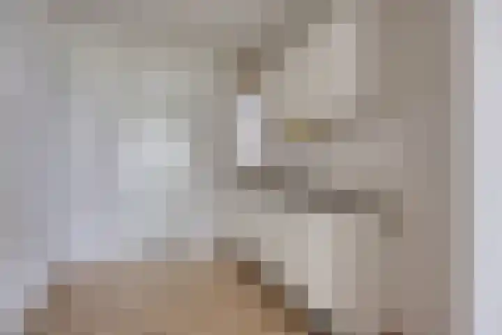 Engelsmanplaat 21 Zwolle thumbnail 8