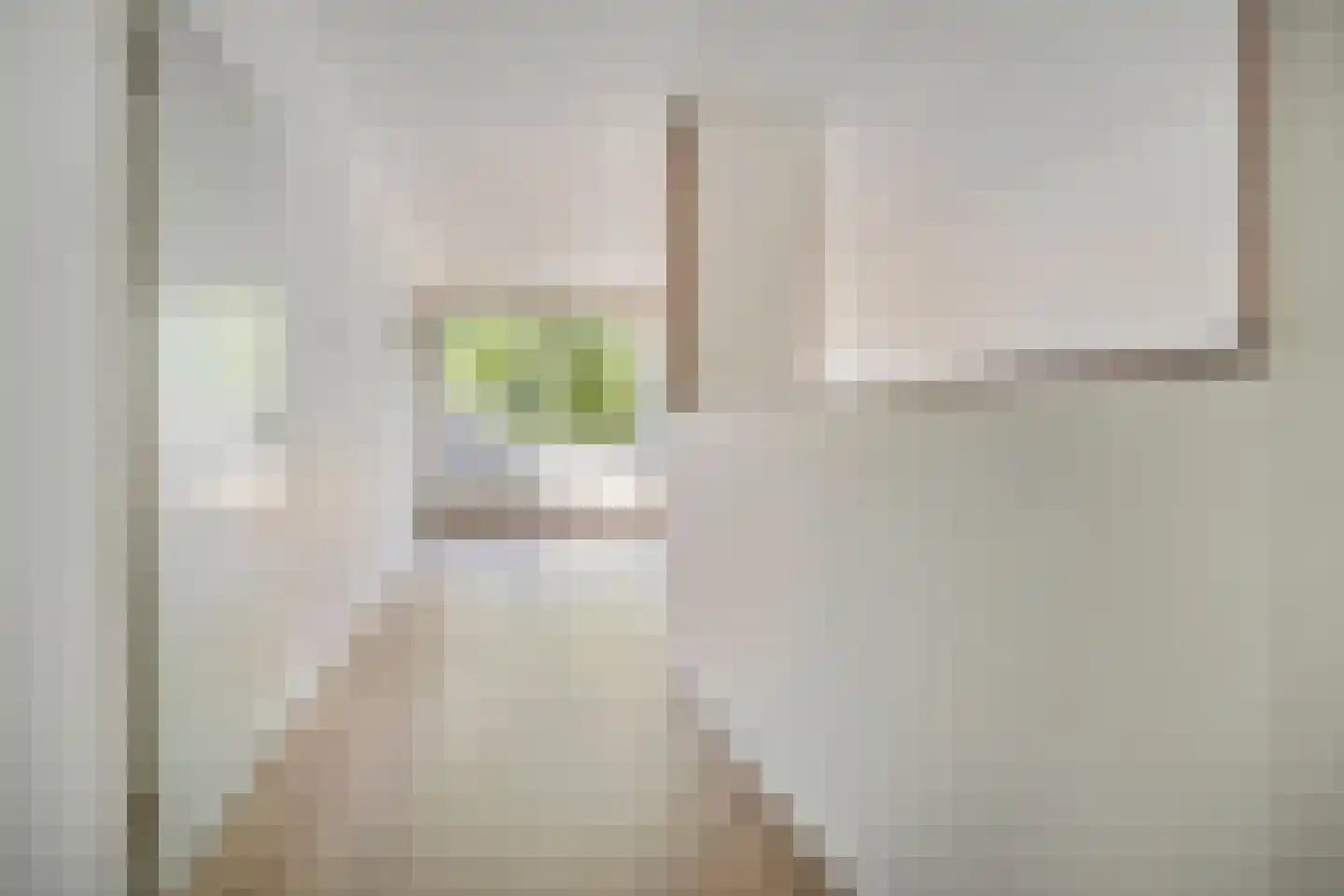 Engelsmanplaat 31 Zwolle thumbnail 10