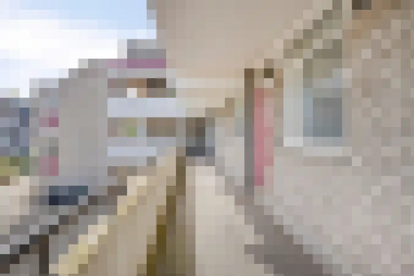 Engelsmanplaat 31 Zwolle thumbnail 20