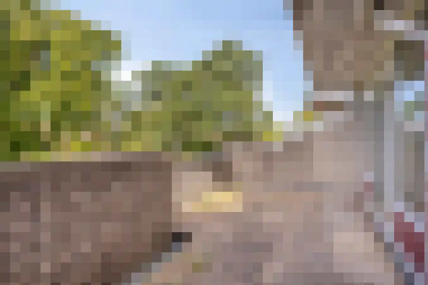 Engelsmanplaat 31 Zwolle thumbnail 6
