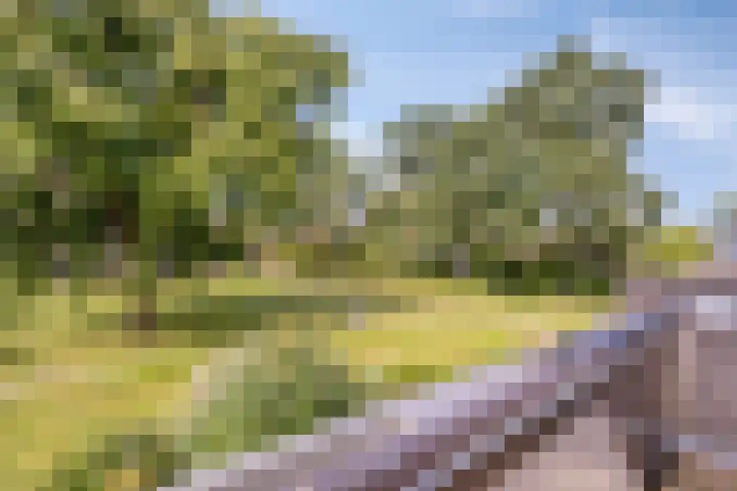 Engelsmanplaat 31 Zwolle thumbnail 7