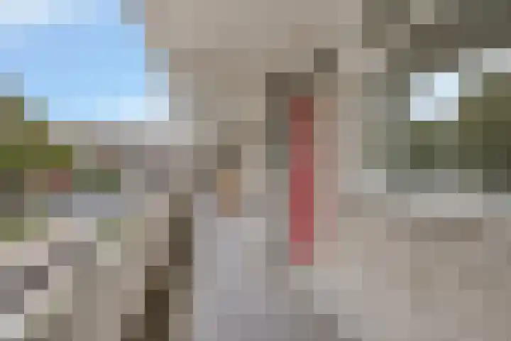 Engelsmanplaat 35 Zwolle thumbnail 22