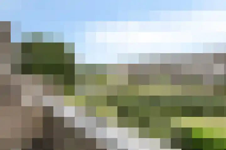 Engelsmanplaat 35 Zwolle thumbnail 6