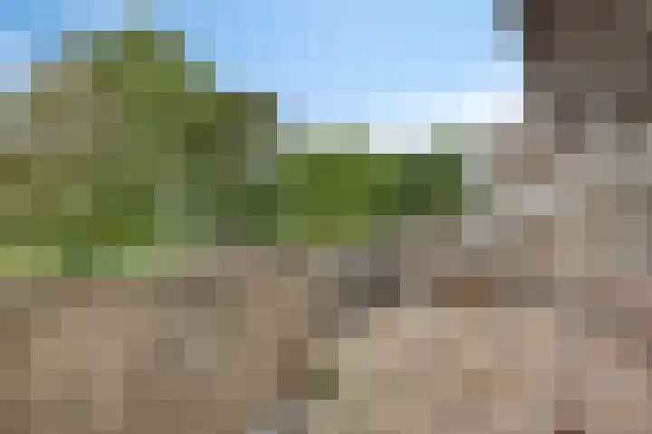 Engelsmanplaat 35 Zwolle thumbnail 7
