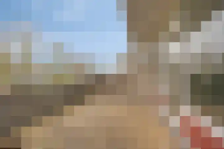 Engelsmanplaat 36 Zwolle thumbnail 10