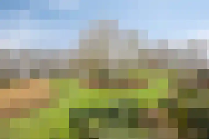 Engelsmanplaat 36 Zwolle thumbnail 13