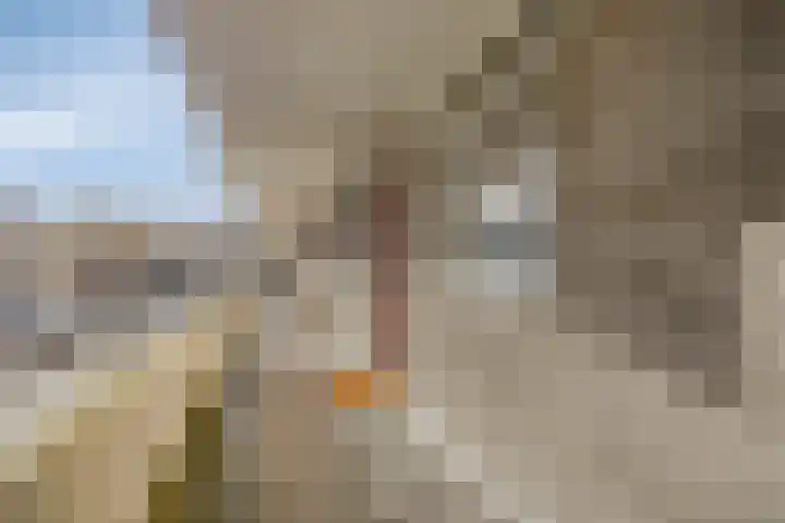 Engelsmanplaat 36 Zwolle thumbnail 23