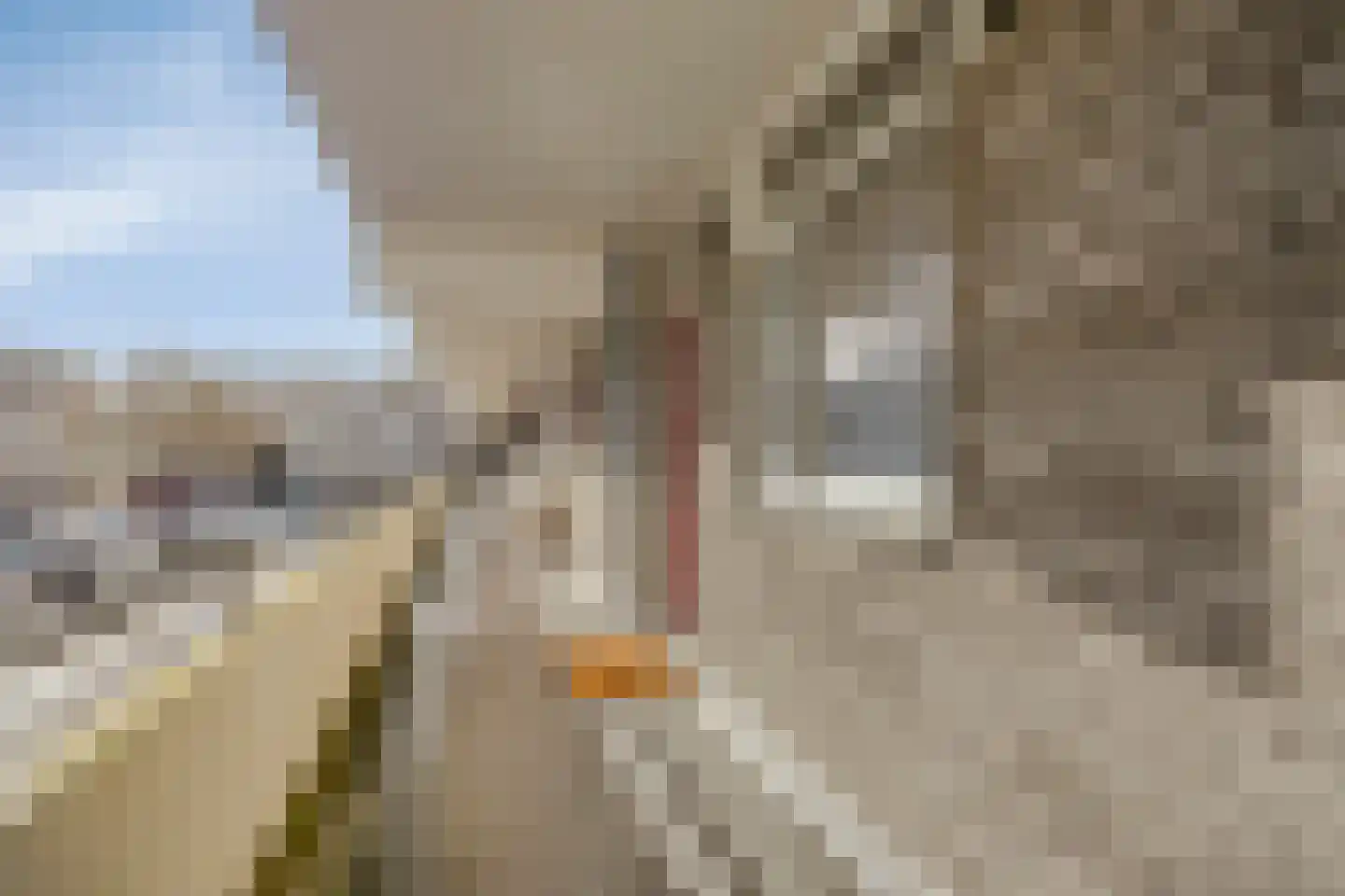 Engelsmanplaat 36 Zwolle thumbnail 23
