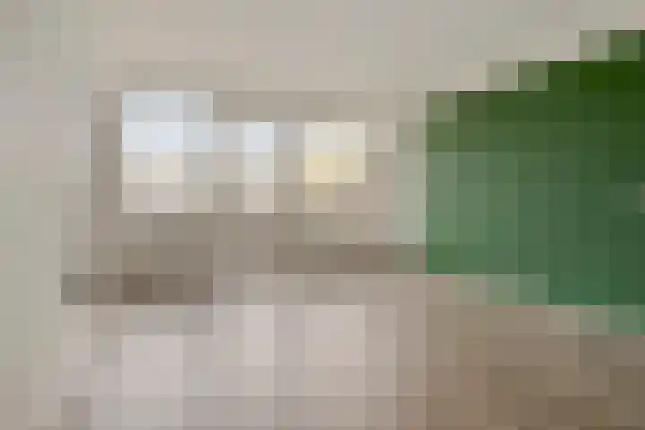 Engelsmanplaat 36 Zwolle thumbnail 4