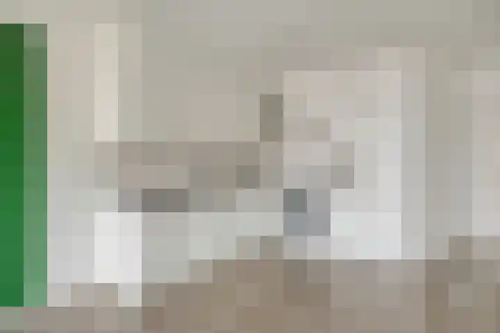 Engelsmanplaat 36 Zwolle thumbnail 6