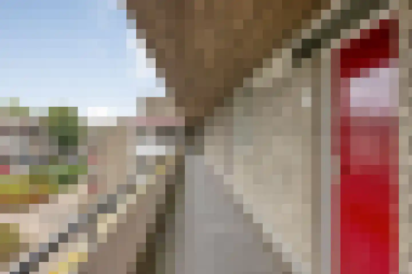 Engelsmanplaat 38 Zwolle thumbnail 26