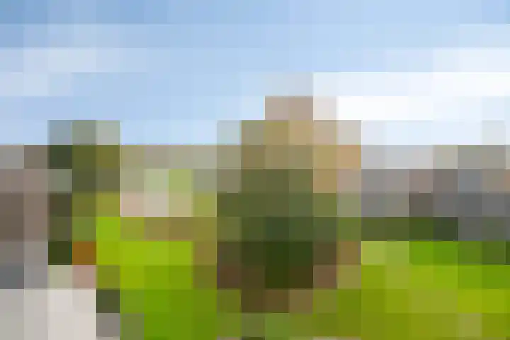 Engelsmanplaat 42 Zwolle thumbnail 10