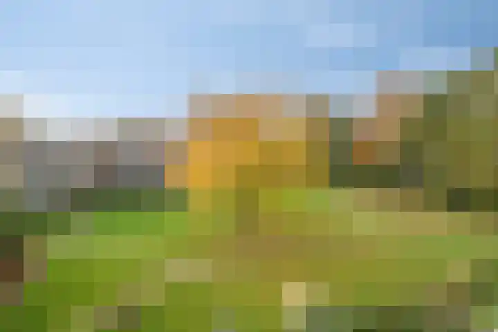 Engelsmanplaat 42 Zwolle thumbnail 11