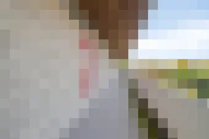 Engelsmanplaat 42 Zwolle thumbnail 27