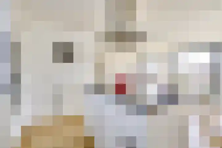 Engelsmanplaat 44 Utrecht thumbnail 24