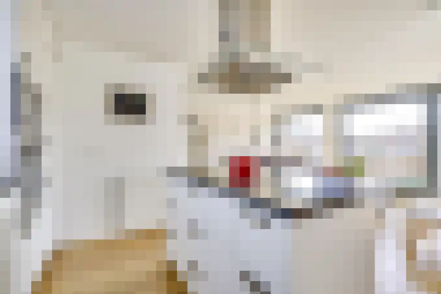 Engelsmanplaat 44 Utrecht thumbnail 24