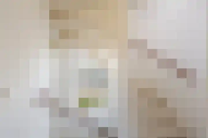 Engelsmanplaat 48 Utrecht thumbnail 14