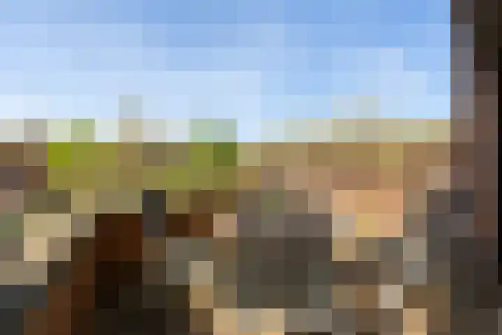 Engelsmanplaat 48 Utrecht thumbnail 19