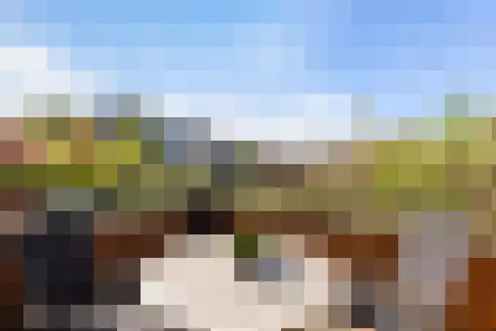 Engelsmanplaat 48 Utrecht thumbnail 20