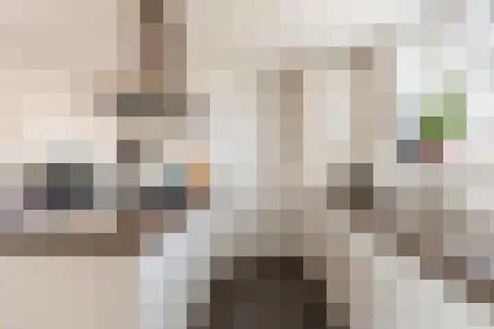Engelsmanplaat 48 Utrecht thumbnail 27