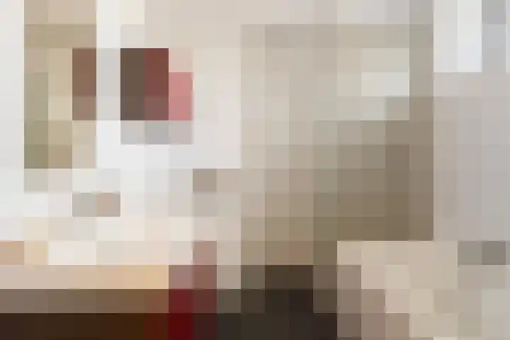 Engelsmanplaat 48 Utrecht thumbnail 37