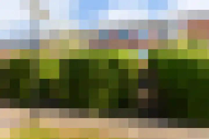 Engelsmanplaat 48 Utrecht thumbnail 38