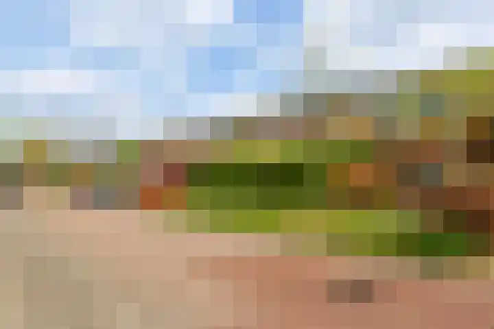 Engelsmanplaat 48 Utrecht thumbnail 39