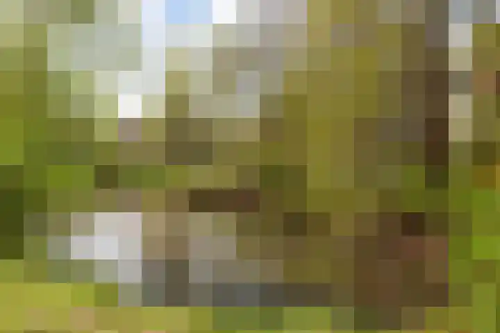 Engelsmanplaat 48 Utrecht thumbnail 40