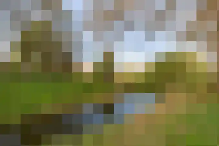 Engelsmanplaat 48 Utrecht thumbnail 41
