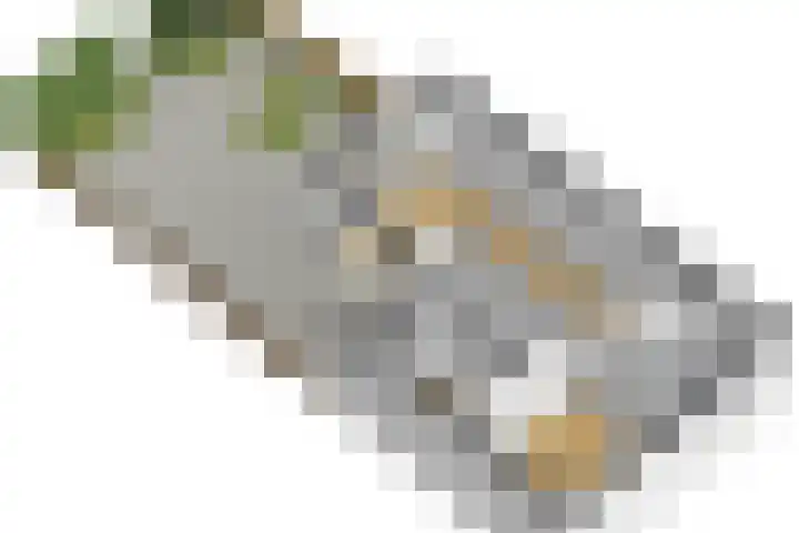Engelsmanplaat 48 Utrecht thumbnail 45