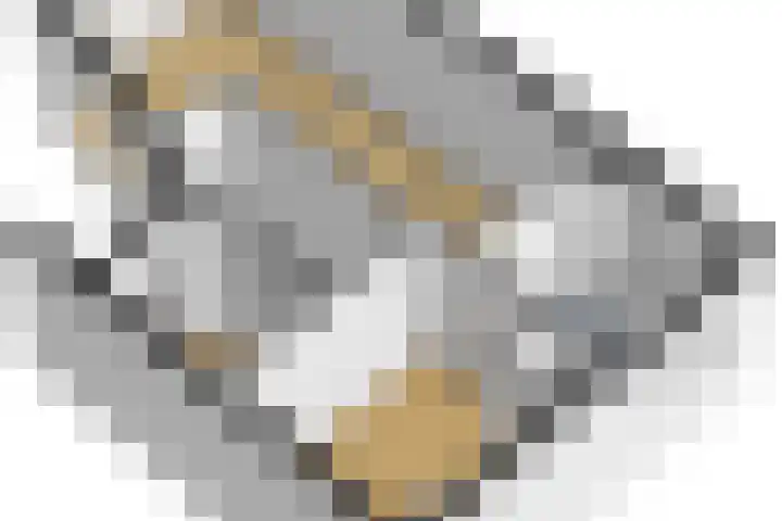 Engelsmanplaat 48 Utrecht thumbnail 47