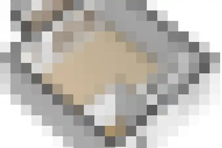 Engelsmanplaat 48 Utrecht thumbnail 49