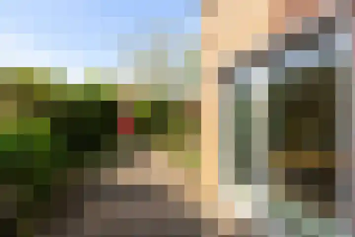 Engelsmanplaat 48 Utrecht thumbnail 5