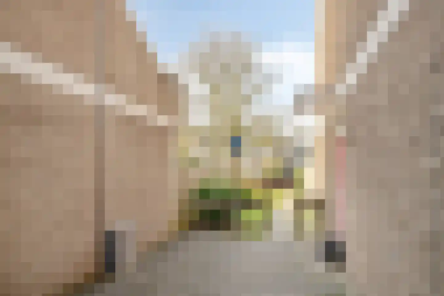 Engelsmanplaat 48 Zwolle thumbnail 31