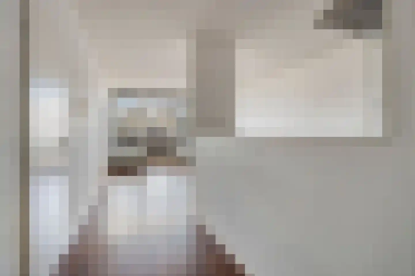Engelsmanplaat 53 Zwolle thumbnail 4