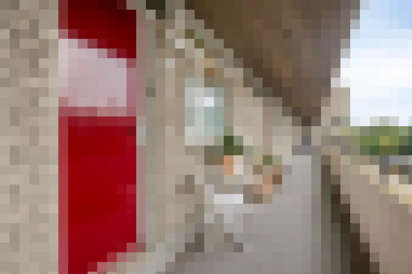 Engelsmanplaat 66 Zwolle thumbnail 22