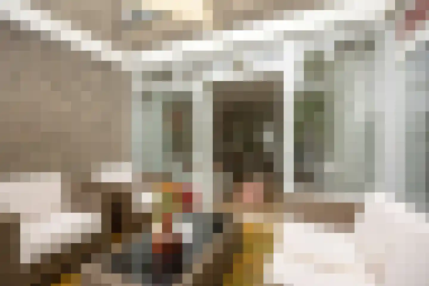 Engelsmanplaat 66 Zwolle thumbnail 4
